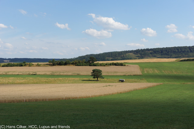 von Glindfeld nach Münden