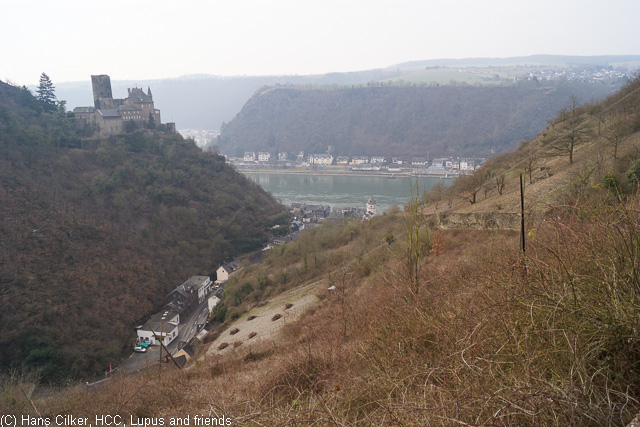 von St. Goarshausen nach Kestert