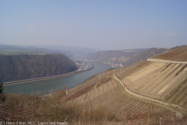 von St. Goarshausen nach Kestert