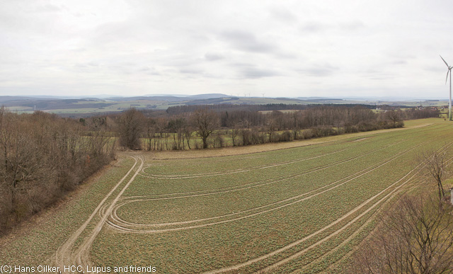 von Heinebüchenbruch nach Sonneborn