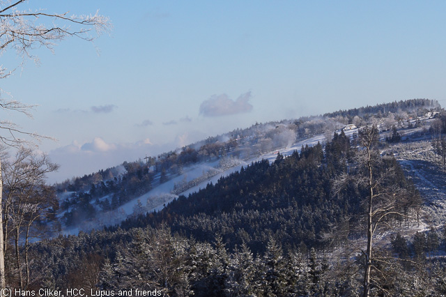 von Brilond Wald rauf auf den Langenberg