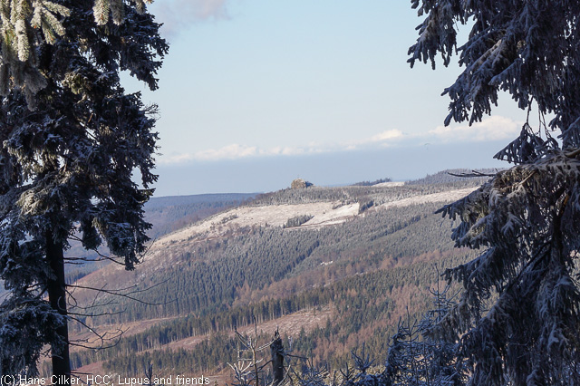 von Brilond Wald rauf auf den Langenberg