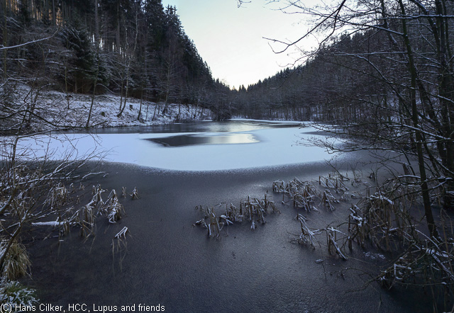 von Brilond Wald rauf auf den Langenberg