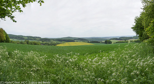 von Dörentrup zur Burg Sternberg