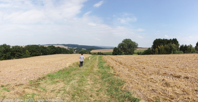 von Steinheim nach Schieder