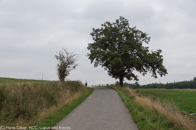 von Schieder nach Lügde