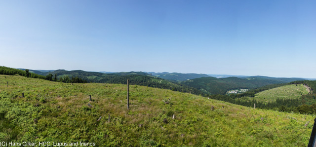 von Brilon Wald nach Willingen