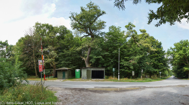 vom alten Parkplatz Lopshorn geht es vor zum Forsthaus Hartröhren