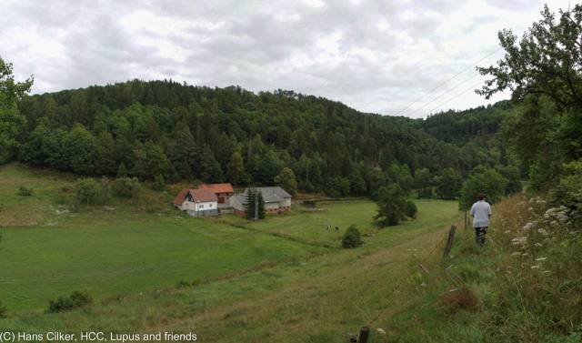 von Münden nach Herzhausen