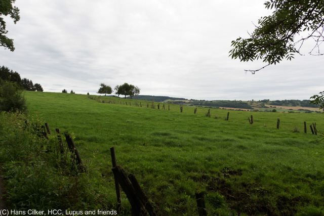 Rund um Willebadessen