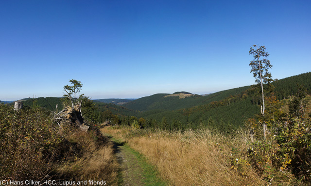 vom Hohen Eimberg bis hinter die Bruchhäuser Steine