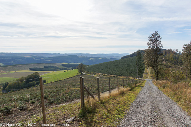 vom Nordhang über den Kahlen Asten nach Oberkirchen