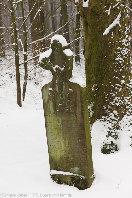 von Kempen zur Durbeke und dann hoch zum Messerkerl