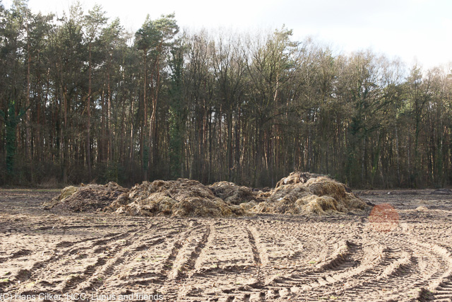 von Oesterweg nach der Stockkämpen