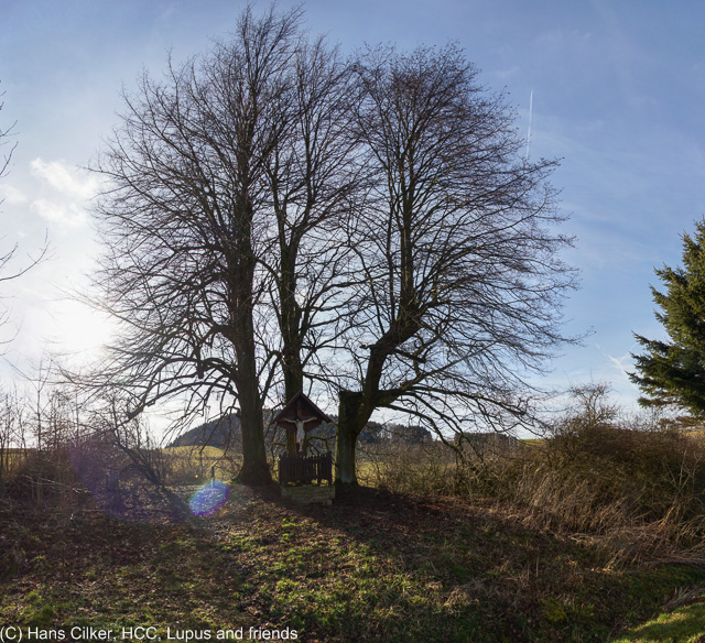 von Marsberg nach Oesdorf