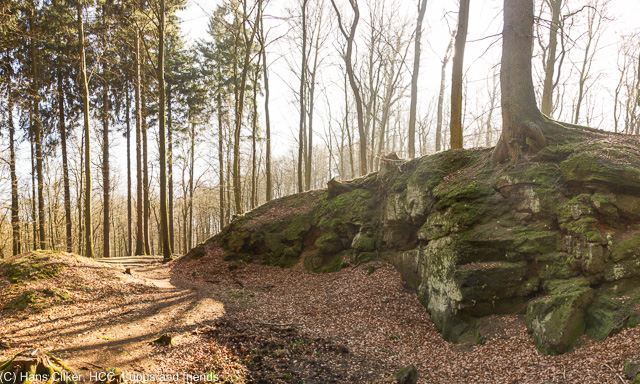von Oesdorf nach Rothers Eiche