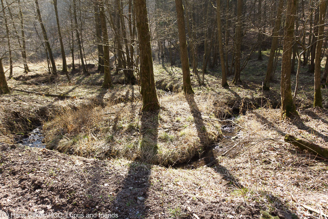 von Oesdorf nach Rothers Eiche
