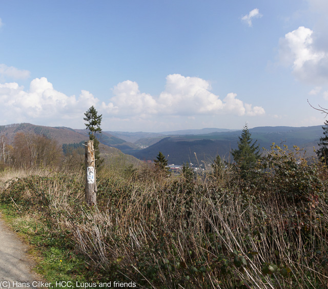 von Braubach nach Ehrenbreitstein