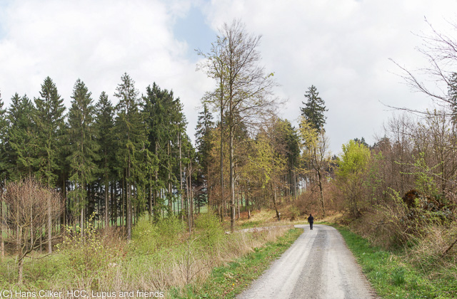 von Herbram Wald zur Driburger Hütte