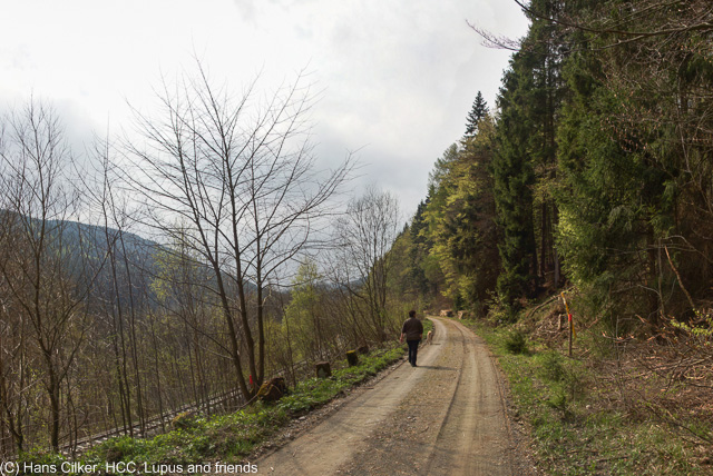 von Brilon Wald nach Willingen und über den Langenberg zurück