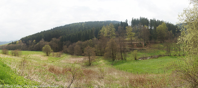 von Brilon Wald nach Willingen und über den Langenberg zurück
