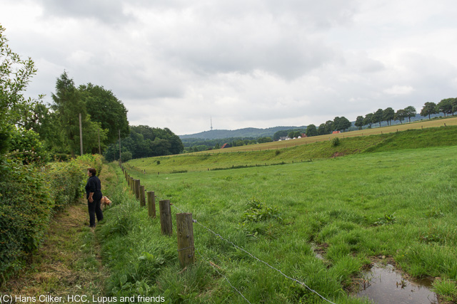 von Kirchdornberg nach Bielefeld