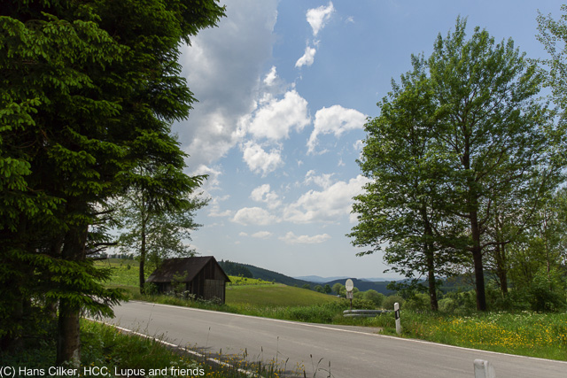 vom Nordhang nach Silbach und zurück