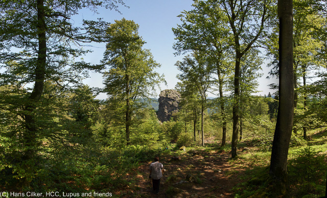 von Brilon Wald zu den Bruchhäuser Steinen