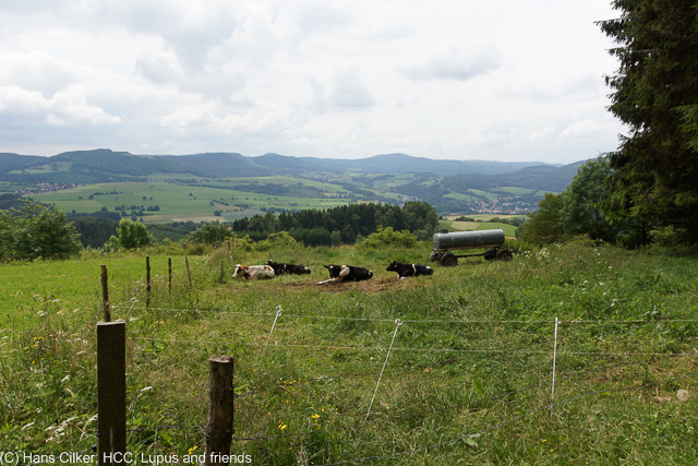 Guckaisee Tour