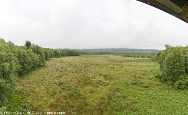Rotes Moor