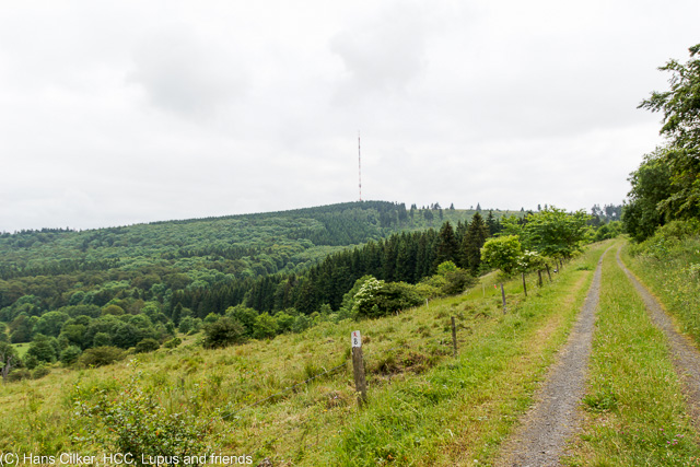 Rotes Moor