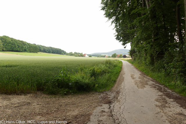 von Hesseltal nach Kirchdornberg