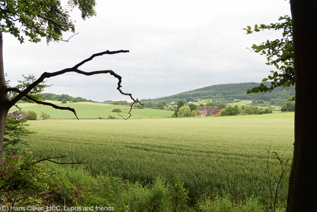 von Hesseltal nach Kirchdornberg