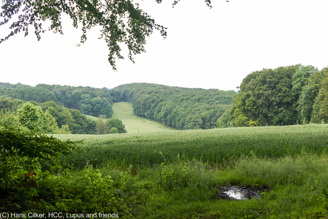 von Hesseltal nach Kirchdornberg