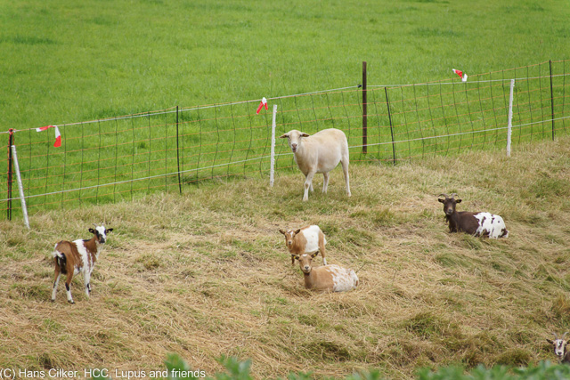 von der Hasequelle bis Hesseltal
