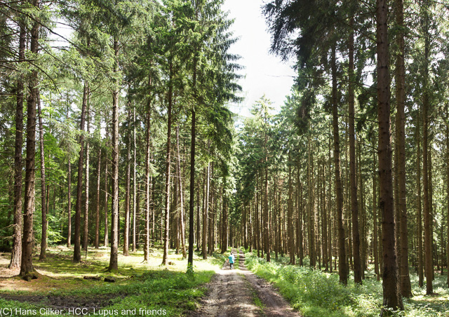 von der Hasequelle bis Hesseltal