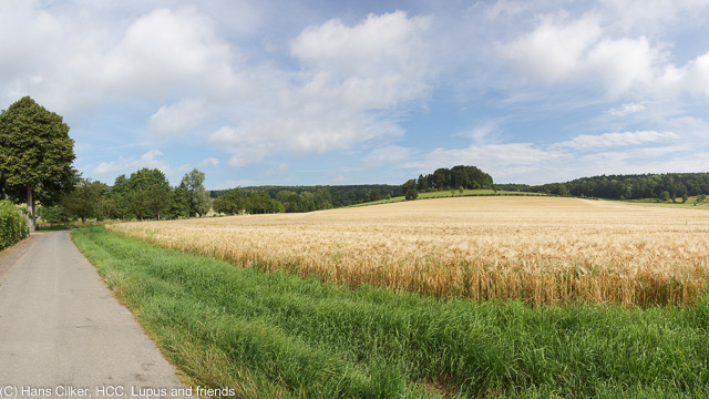 von Alhausen nach Hermannsborn und Driburg