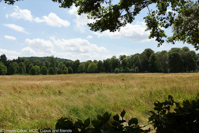von Alhausen nach Hermannsborn und Driburg