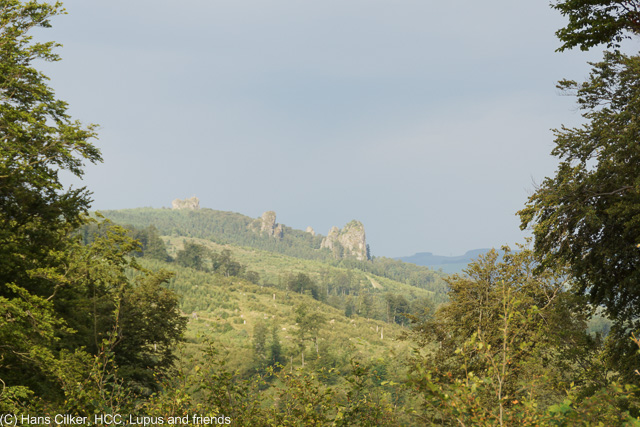 von Brilon Wald hinauf auf den Eiberg, runter nach Willingen und zrück