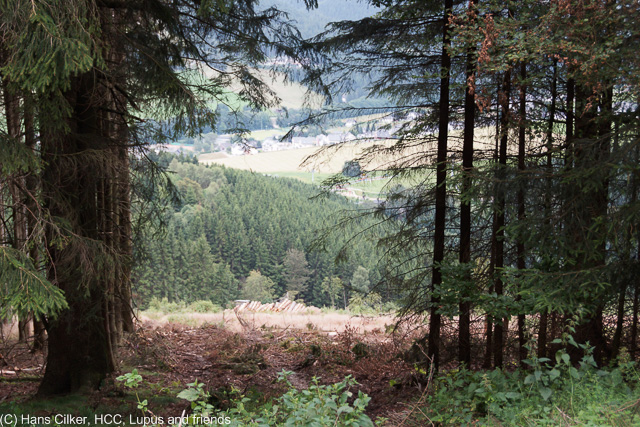 von Brilon Wald hinauf auf den Eiberg, runter nach Willingen und zrück