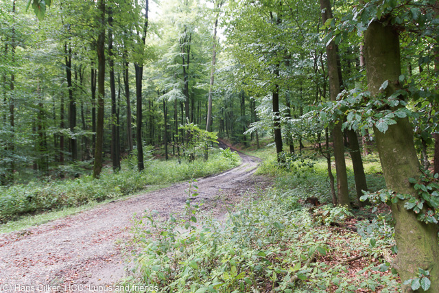 von der A33 zur Hasequelle