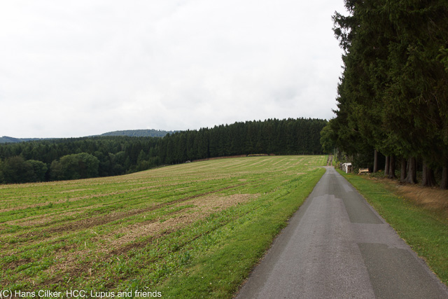 von der A33 zur Hasequelle