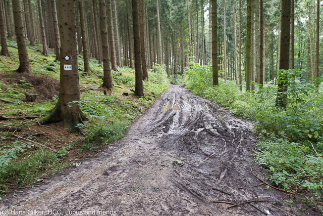 vom A33 nach Bad Iburg