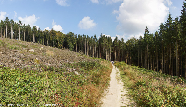 von Bad Iburg bis zur Sudenfelder Strasse