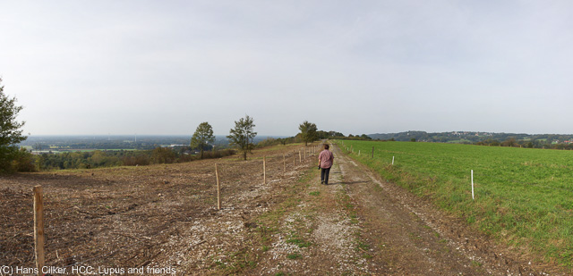 von der Sudenfelder Strasse nach Tecklenburg