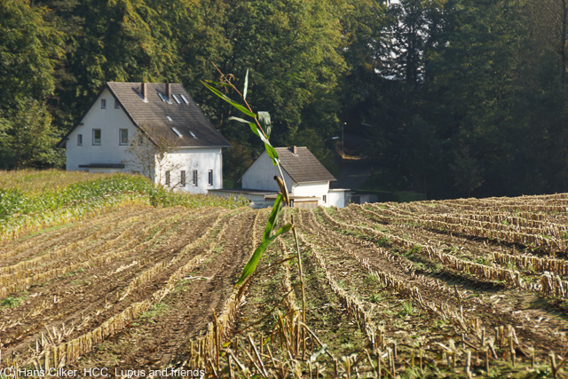 von Holzhausen nach Georgsmarienhütte