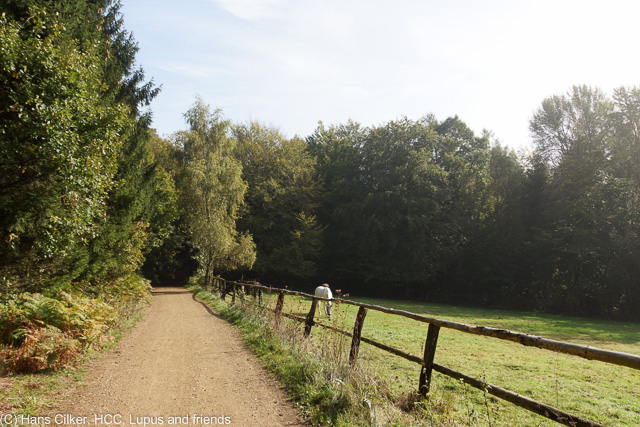 vom Habichtswald nach Holzhausen
