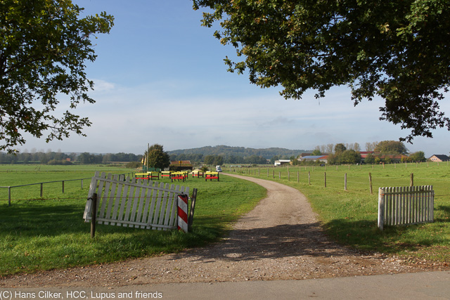 vom Habichtswald nach Holzhausen