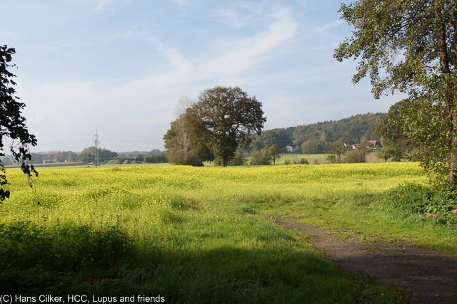vom Habichtswald nach Holzhausen
