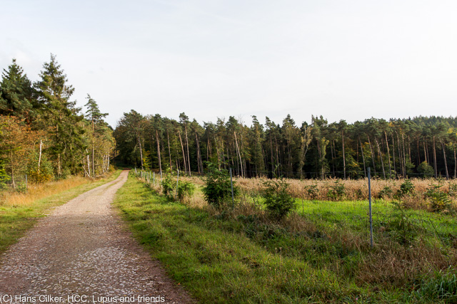 vom Habichtswald nach Holzhausen